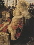 Sandro Botticelli Madonna of the Rose Garden or Madonna and Child with St john the Baptist (mk36) oil painting